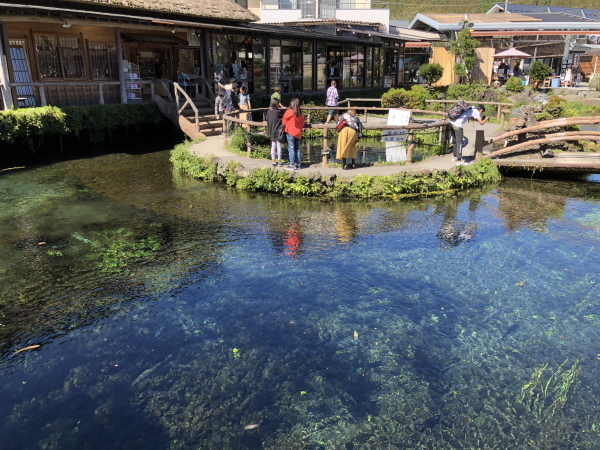 忍野八海の観光