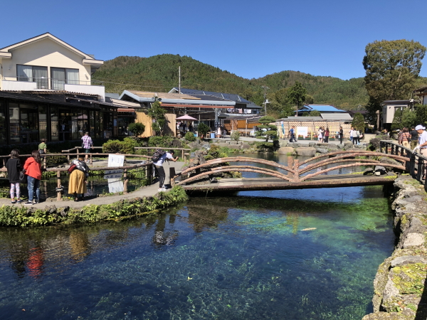 忍野八海の観光