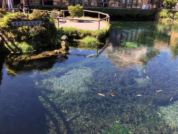 忍野八海の観光