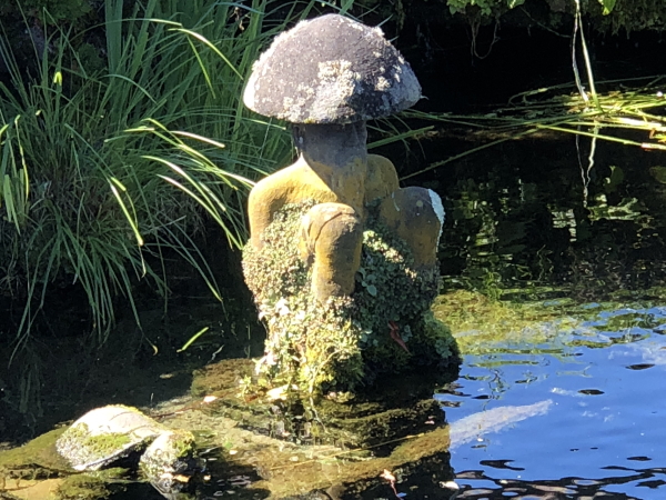 忍野八海の観光