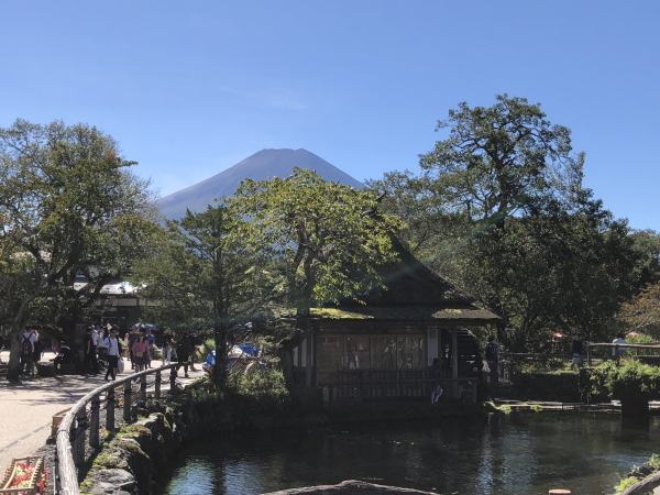 忍野八海の観光