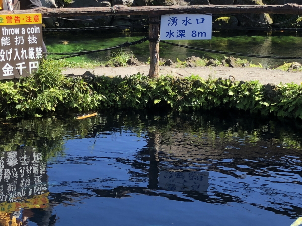 忍野八海の観光