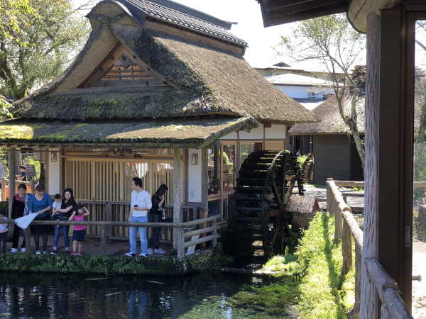 忍野八海の観光