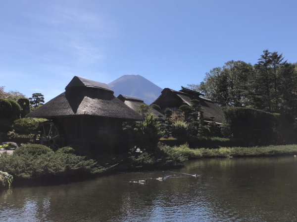 忍野八海の観光