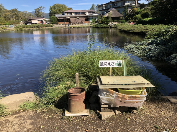 忍野八海の観光