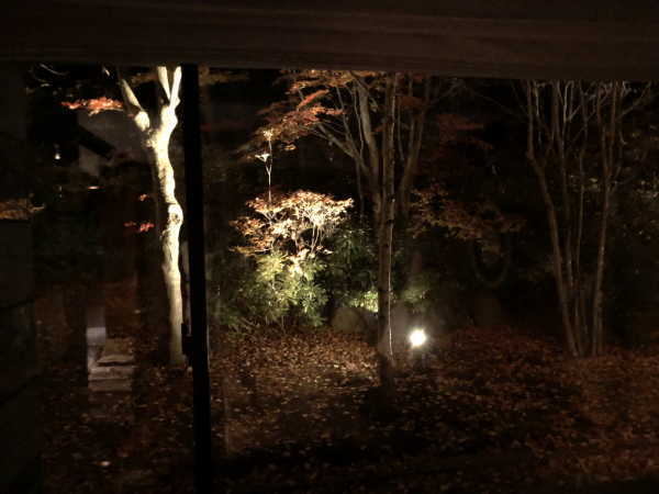 エクシブ軽井沢ムセオの窓から見える夜の木々