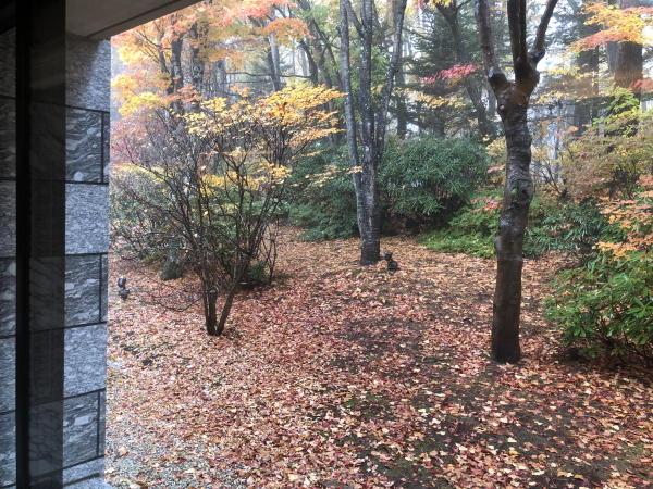 エクシブ軽井沢ムセオの窓から見える紅葉