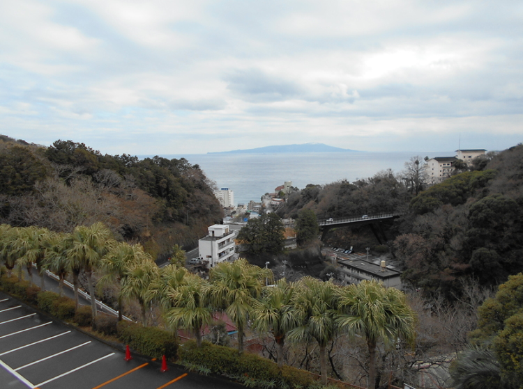 熱川バナナワニ園から望む