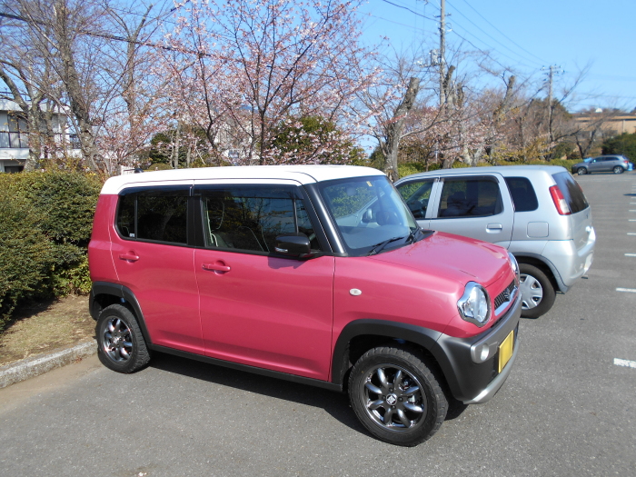 つばき園駐車場