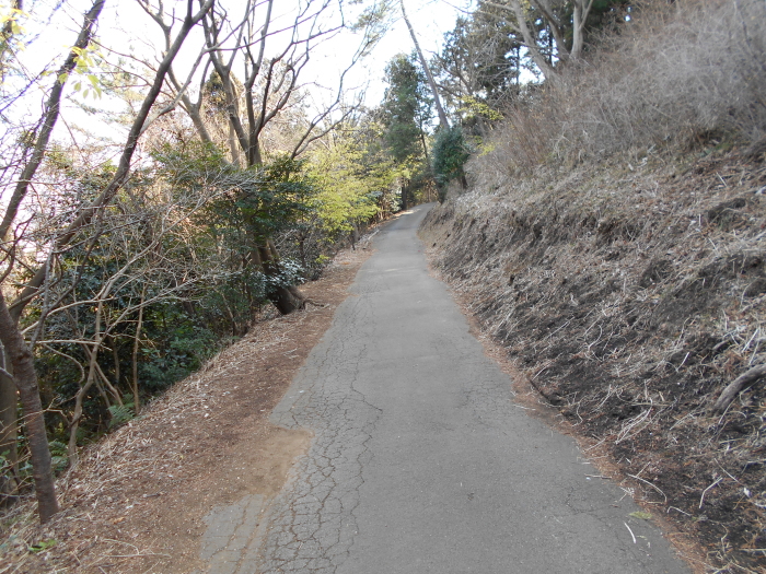 小室山 山頂への登山道